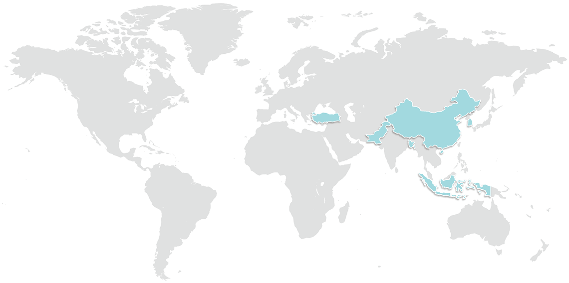 World map with Twinco presence